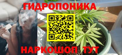стаф Ливны