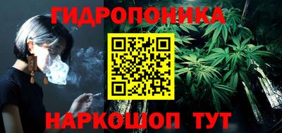 стаф Ливны